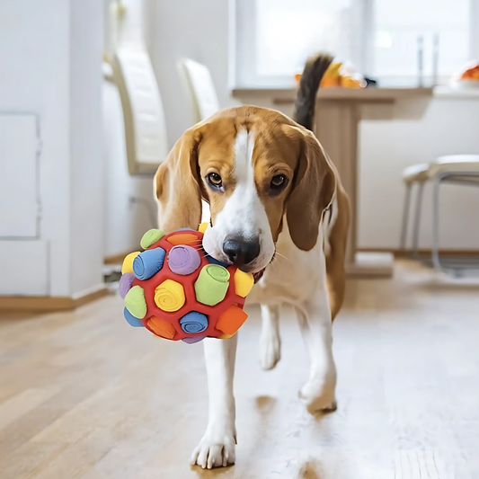 Sniffing Ball Toy for Dogs – Fun, Training & Treat Rewards