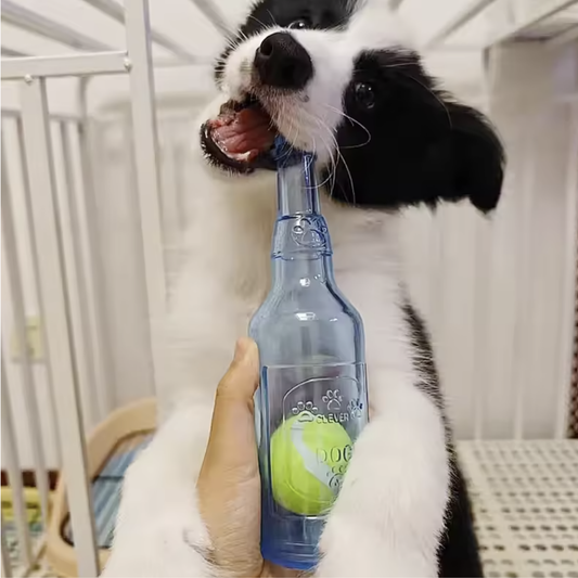Ultimate Water Bottle Dog Toy – Squeaky, Chewy & Floatable Fun